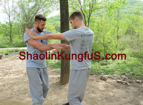 Students practicing Kung fu application skills here in 2017 Year.