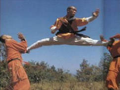 Our students learn kung fu inside the Forest of Pagoda Forest. Female students practicing kungfu in Shaolin Temple. 