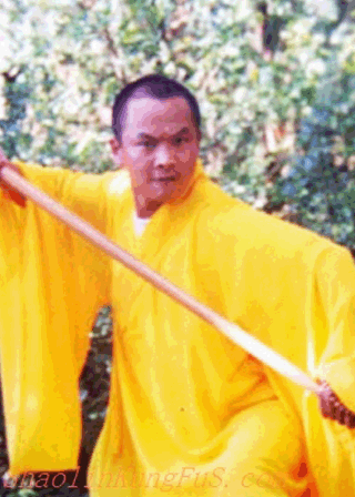 Master Shi Yan Shun 